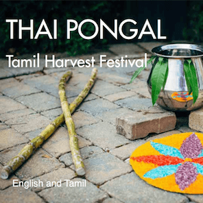 thai-pongal_grande